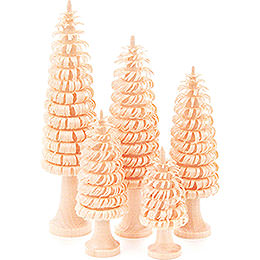Coiled Trees with Trunk Natural  -  5 pieces  -  11cm / 4.3 inch