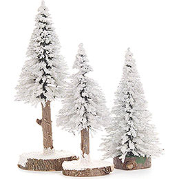 Spruce  -  White  -  3 pieces  -  12cm / 4.7 inch to 16cm / 6.3 inch